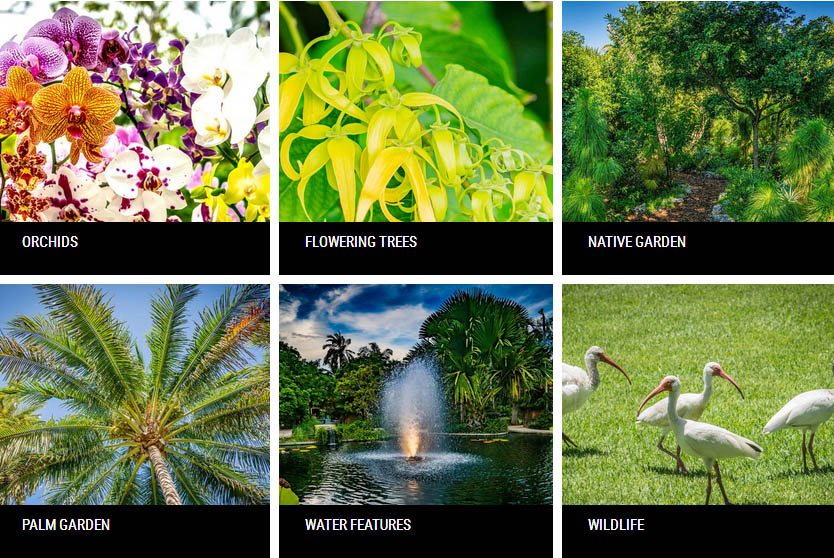 Jardín Botánico de Miami Beach: el verde oasis de la ciudad