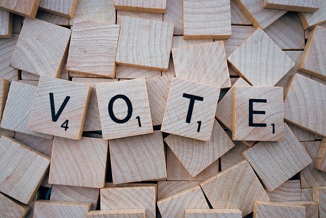 Poder ciudadano: registrarse antes del 5 de octubre y votar